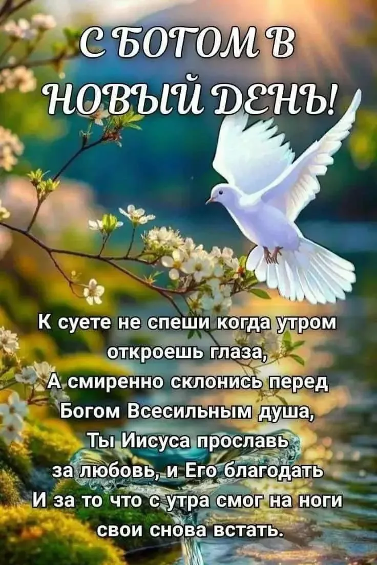 🙏🏻КРАТКОЕ МОЛИТВЕННОЕ ПРАВИЛО ПРП. СЕРАФИМА САРОВСКОГО 

Господи, дай мне душевный мир и телесное 