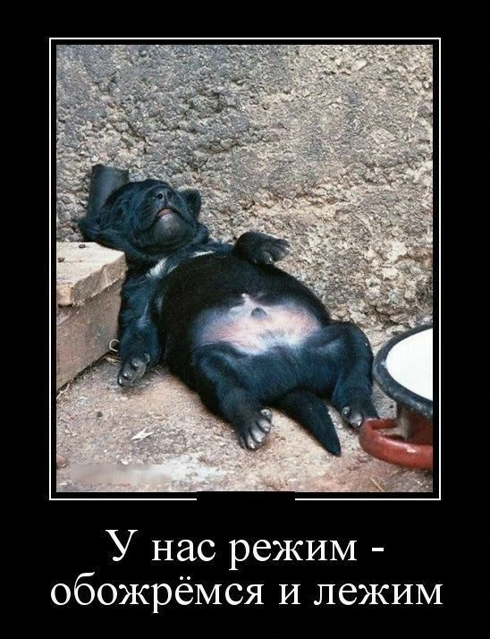 #Юмор