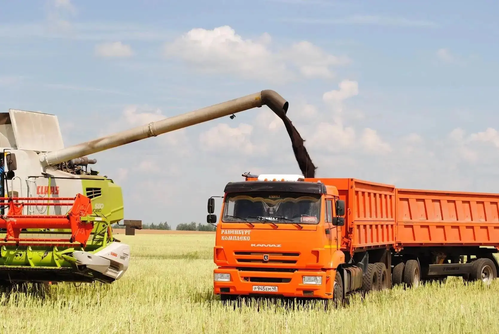 🌾🚜 Самая живописная уборочная в ЛО – рапсовая.