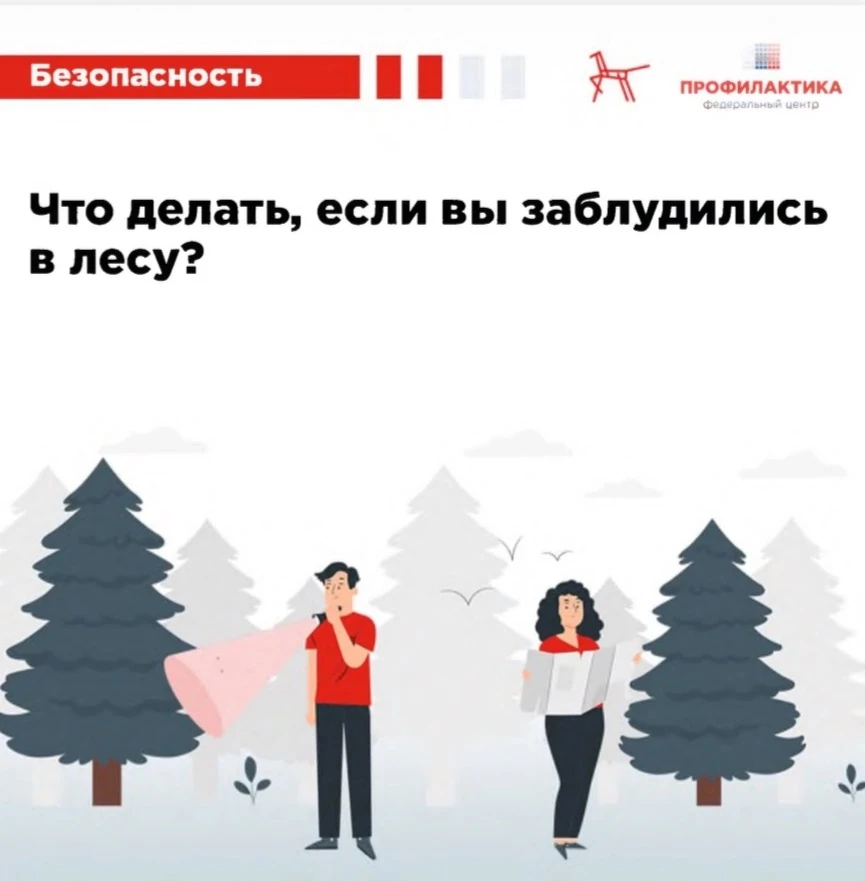 🌳 Памятка: Что делать, если заблудились в лесу 🌳Сохраняйте спокойствие: Паника может только ухудши