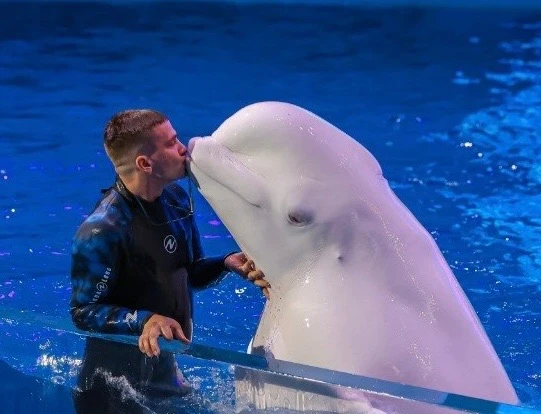 🐬В юбилейный год мы запускаем конкурс «Животное десятилетия». Сейчас в Приморском океанариуме живет