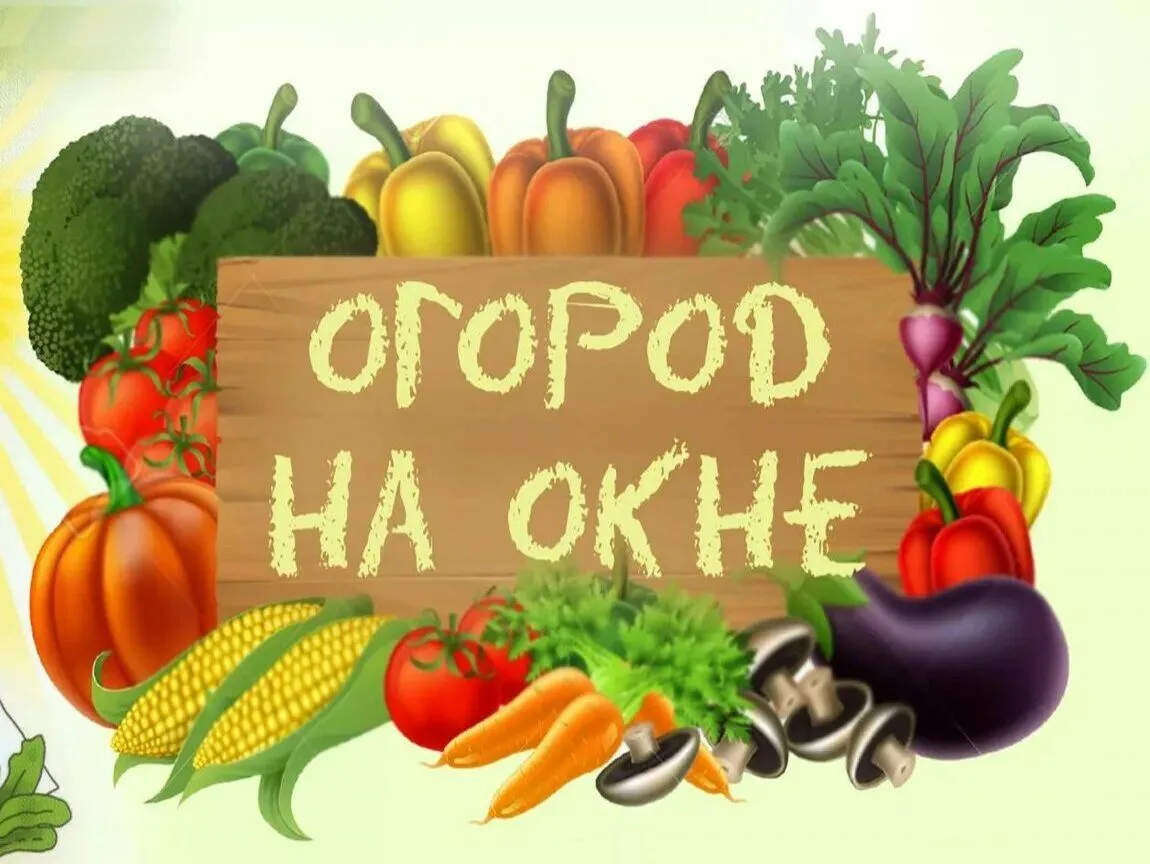 "🌿Огород на окне" в младшей группе № 1. 🪷Цель события - формирование основ экологичес...