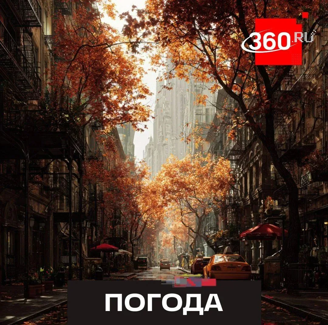 Осенний день без дождя.