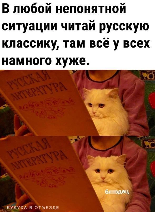 Кукуха в отъезде 🐦