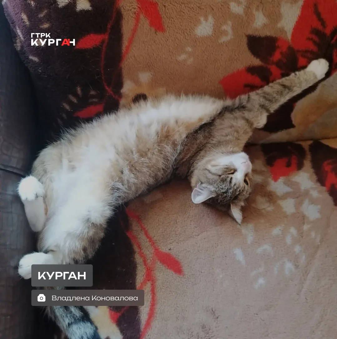 🌤 Доброе утро, зауральцы!

День в Кургане обещают солнечный и жаркий. Столбик термометра поднимется