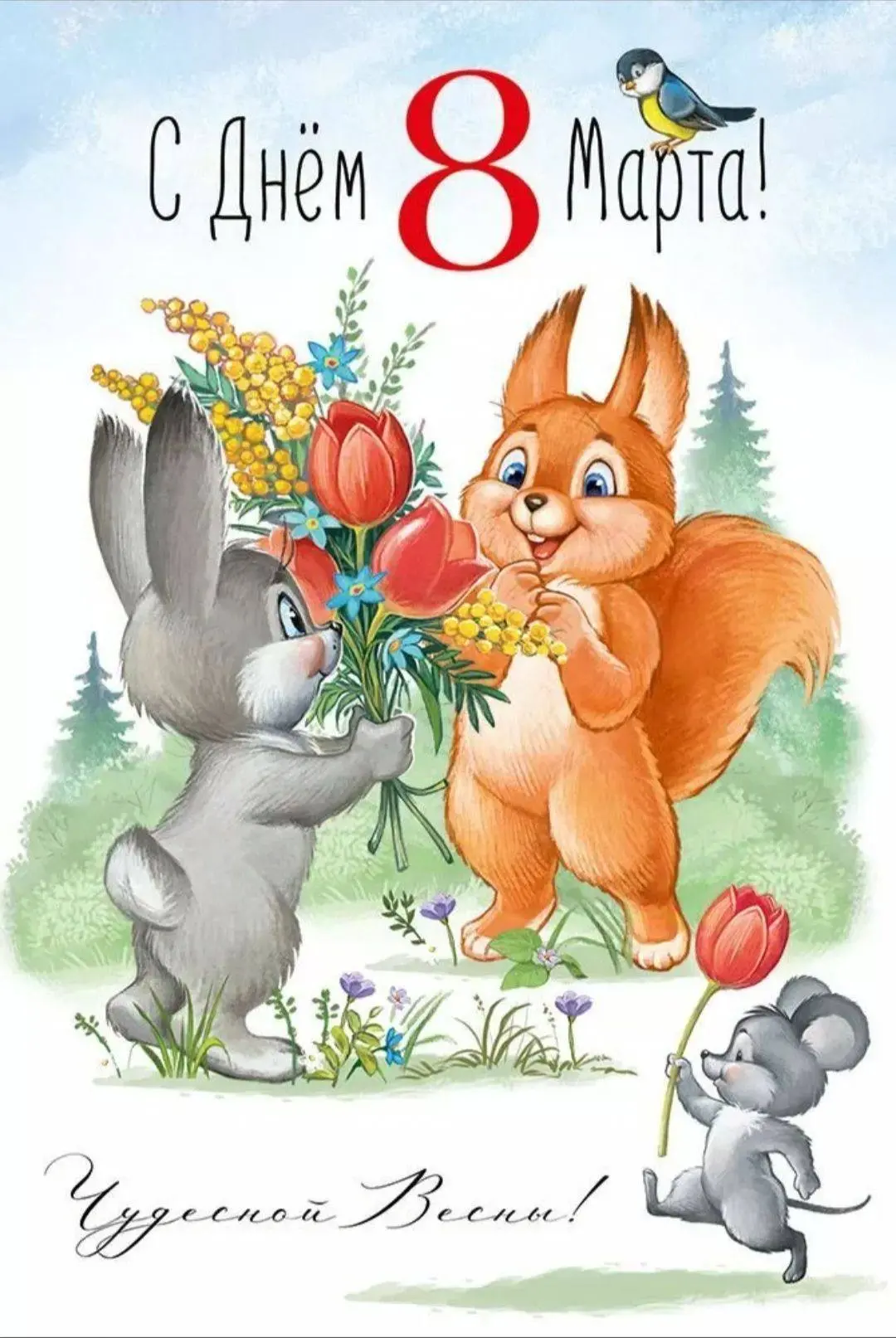 🌷 Дорогие наши подписчицы! 🌷
