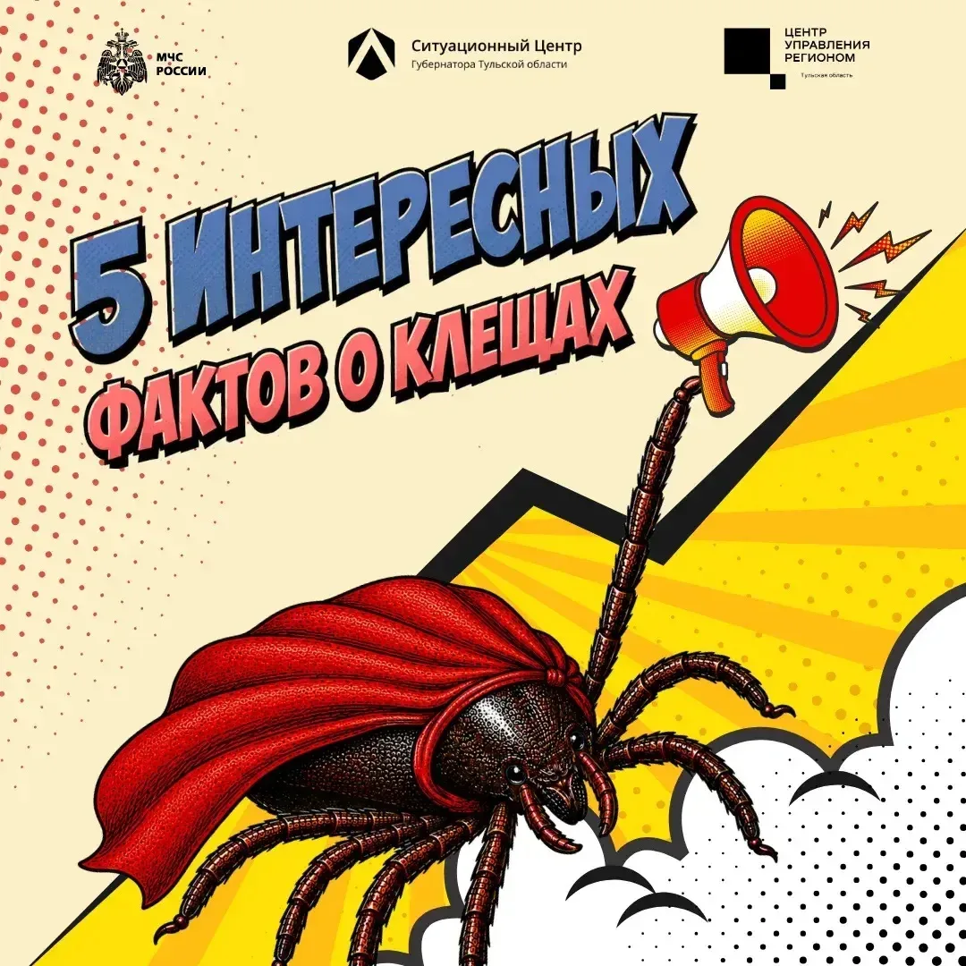 🕷 Они появились на Земле раньше динозавров