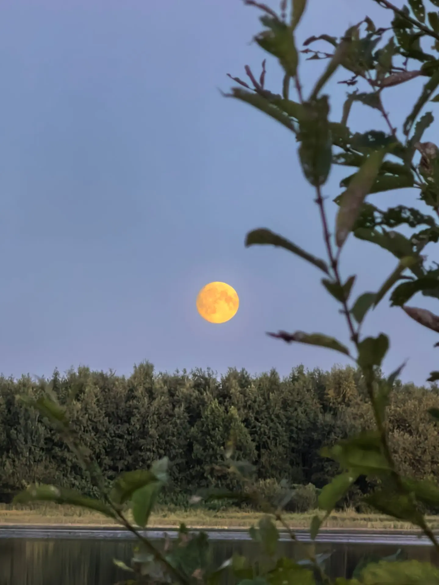 Луна сегодня в Каргополе прекрасная!