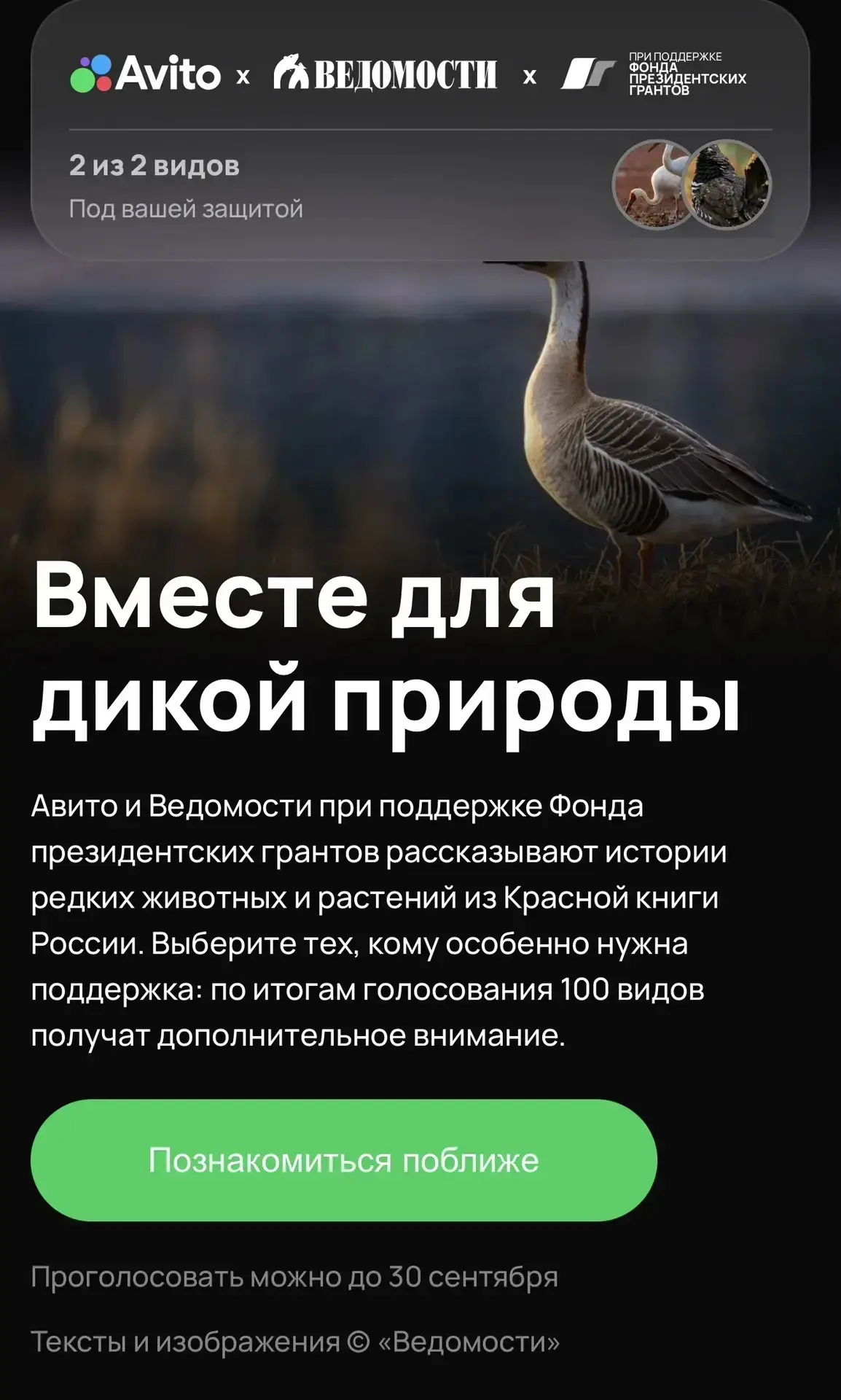 Якутия голосует за дикушу и стерха во Всероссийском голосовании