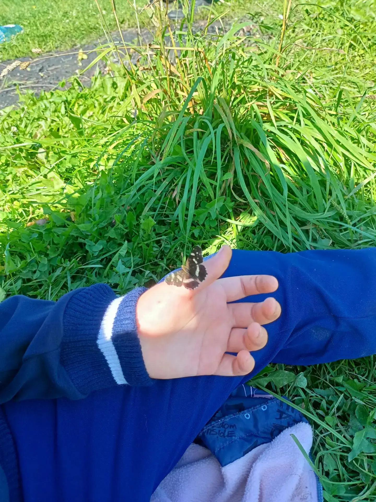 🌿🚶‍♂ В завершении летних каникул 28 августа наш школьный турклуб "БригадаМУР" отправи...