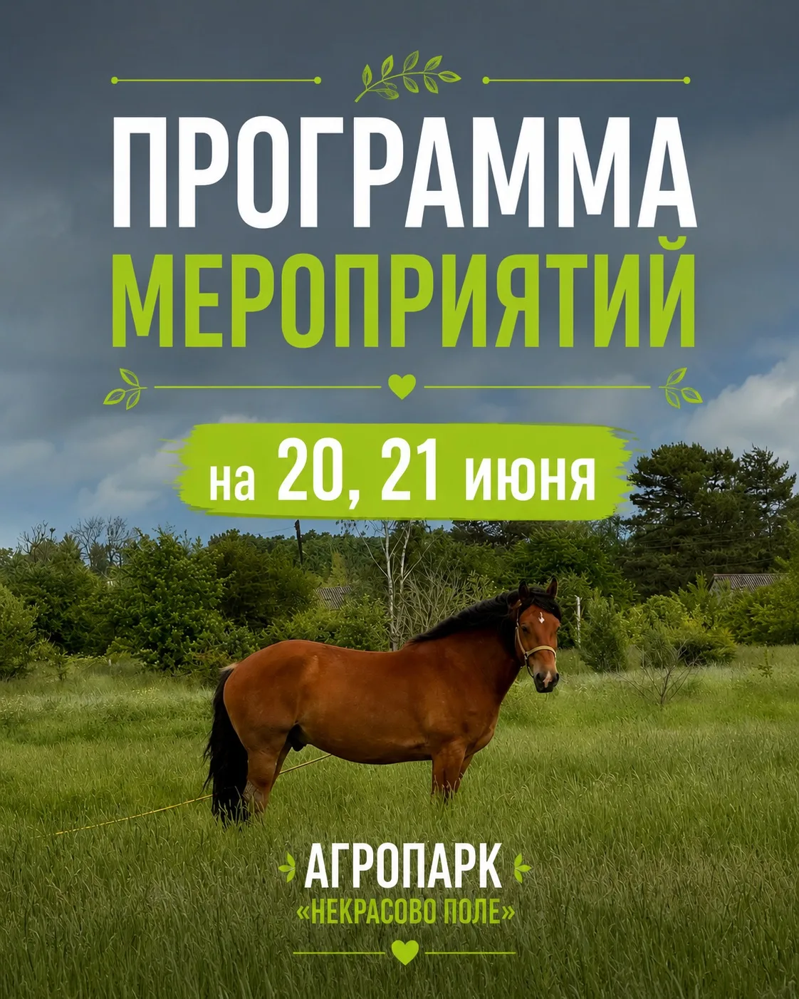 🌿 Выходные в Агропарке «Некрасово Поле» — время для отдыха, улыбок и летних впечатлений!

20 и 21 и