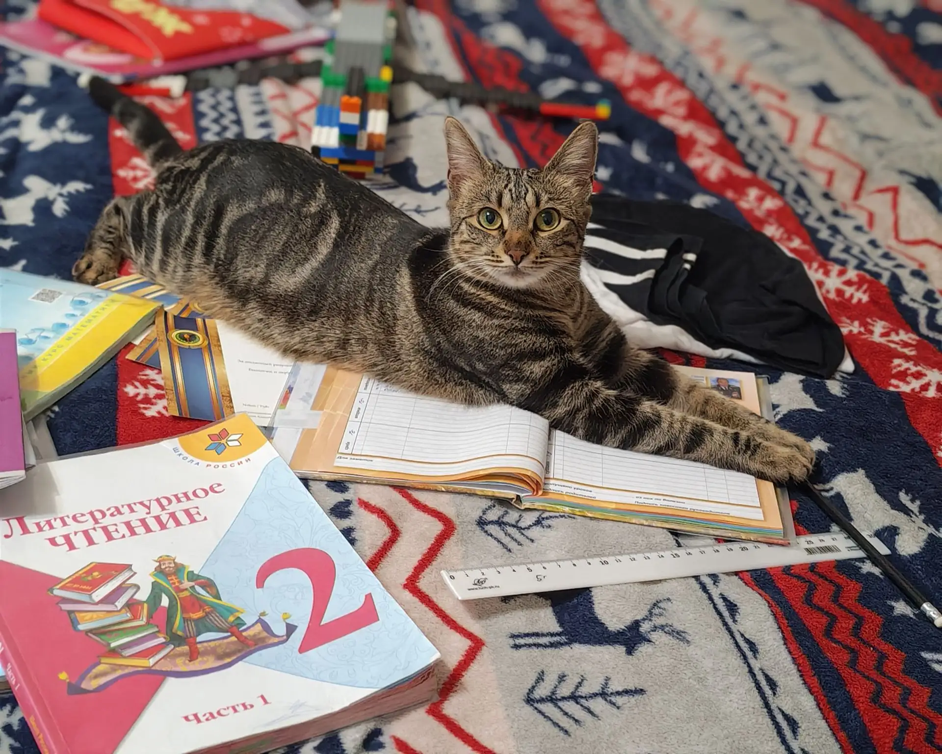 Наверное ей удобно.. Среди Тимофея бардака и книжек)