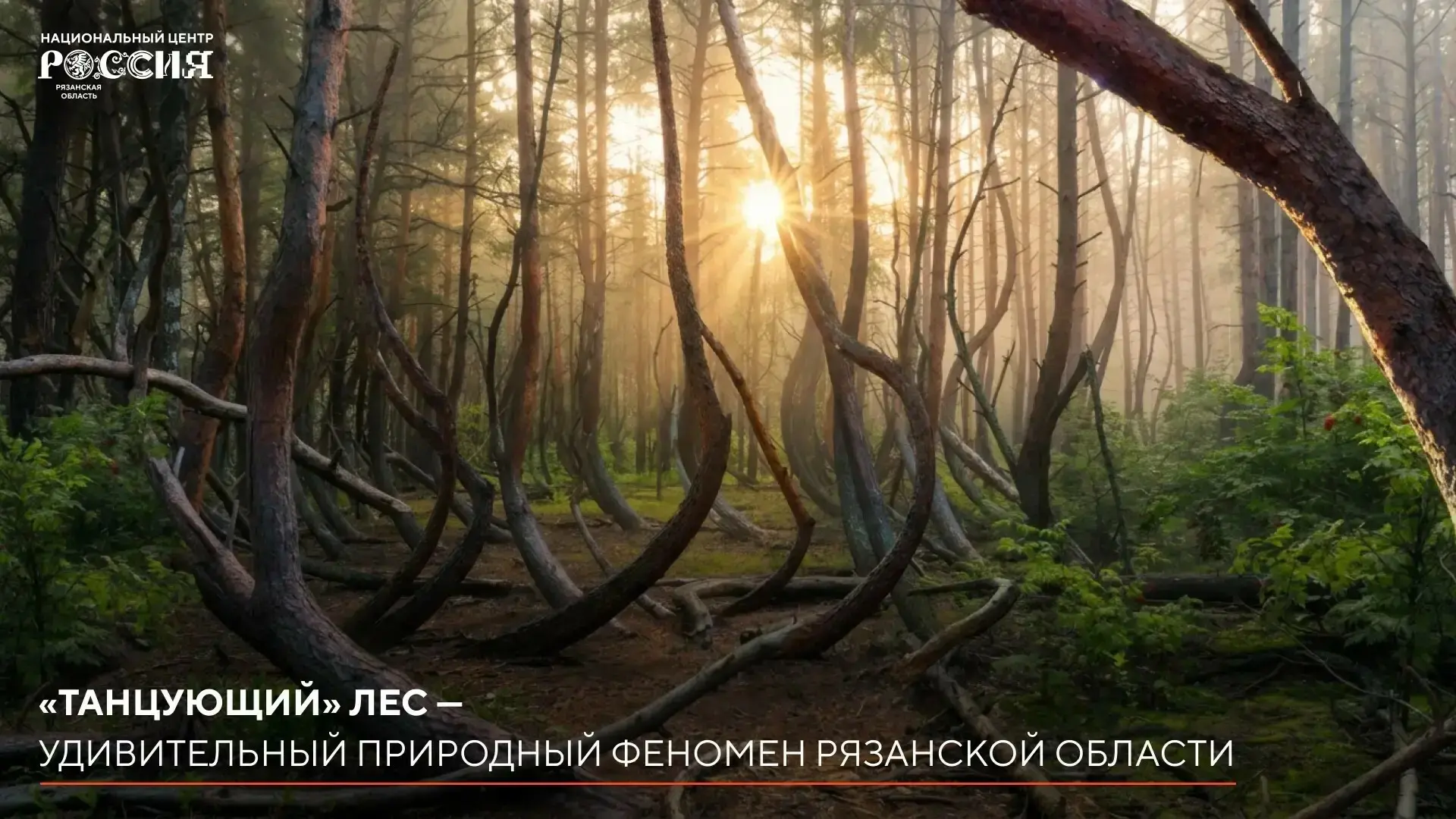Фантастические деревья и где они обитают