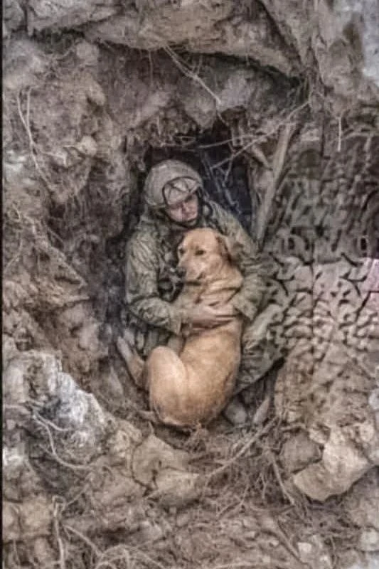 В гуле войны, среди стали и огня, есть 🐺 тихие герои, чья любовь и преданность согрева...