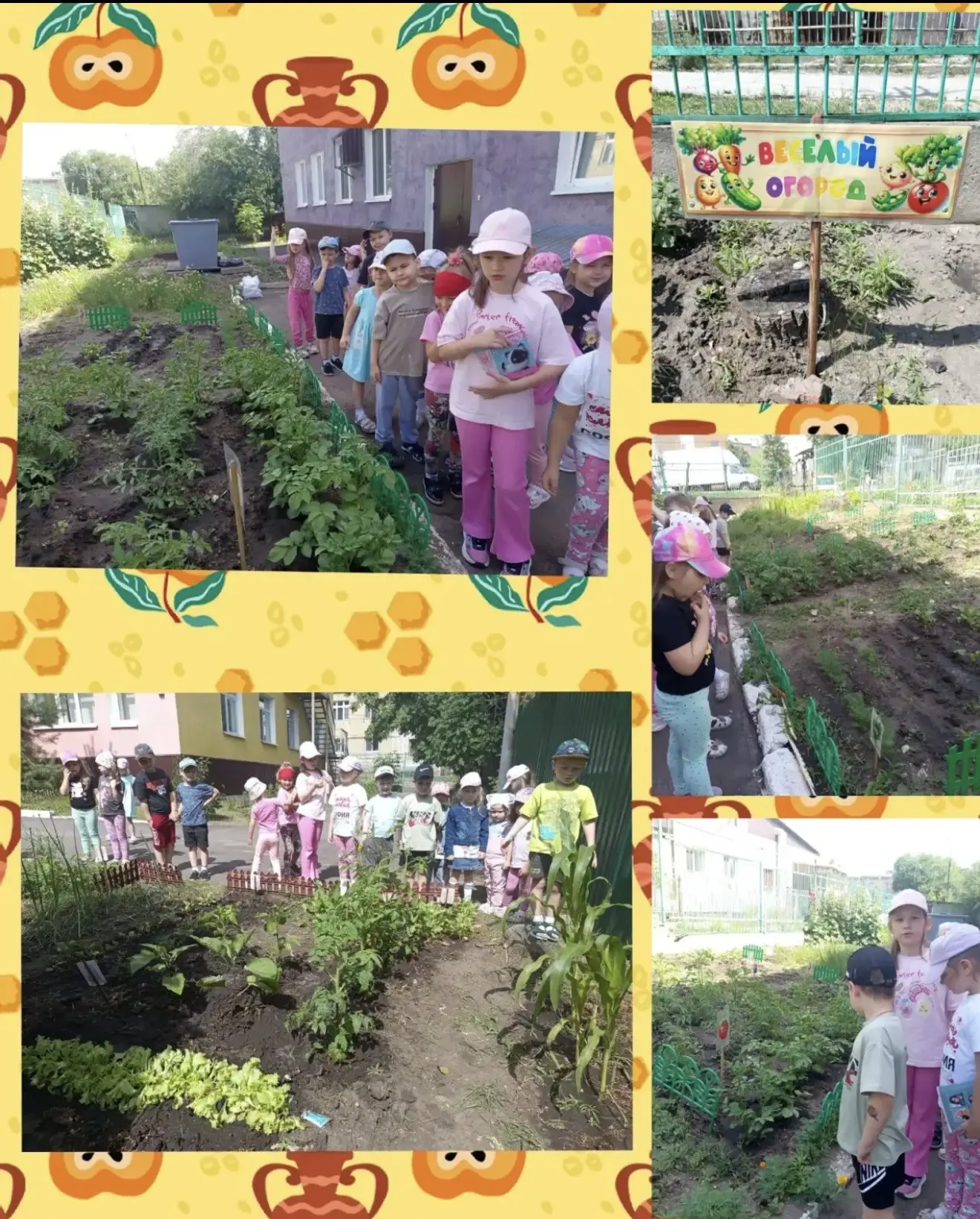 Огород в детском саду является одним из условий,которое необходимо для осуществления экологического 