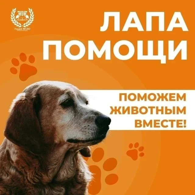 Уважаемые коллеги! Родители и учащиеся! Продолжаем принимать участие в добрых акциях!!!