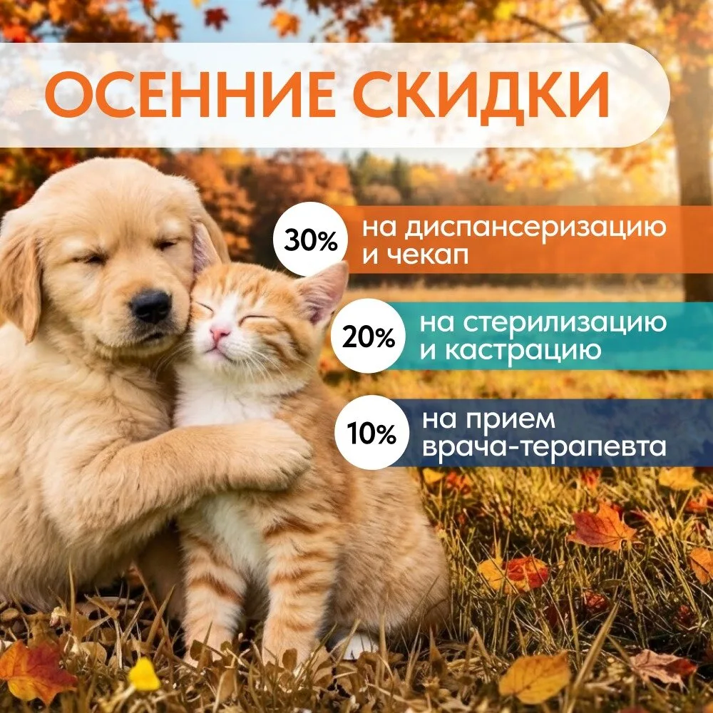 Осенние скидки в ветклинике "Здоровье Животных"