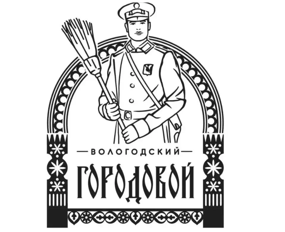 Приложение «Вологодский городовой» — цифровой помощник жителей Вологодской области