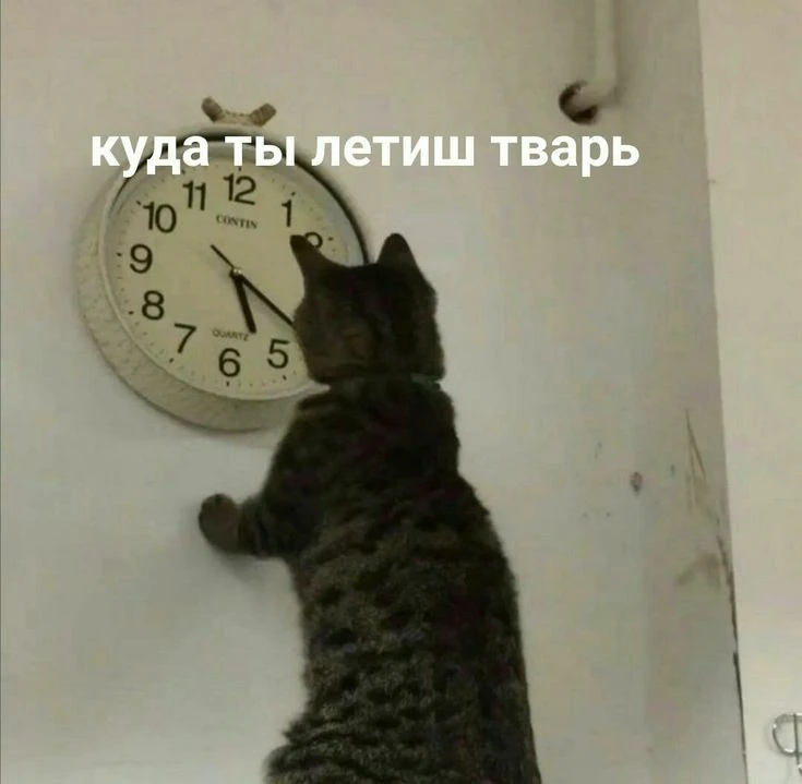 Мои антидеграционные привычки, или как я пытаюсь в продуктивность 😅