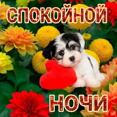 КРАСИВЫЕ ОТКРЫТКИ ТУТ💖