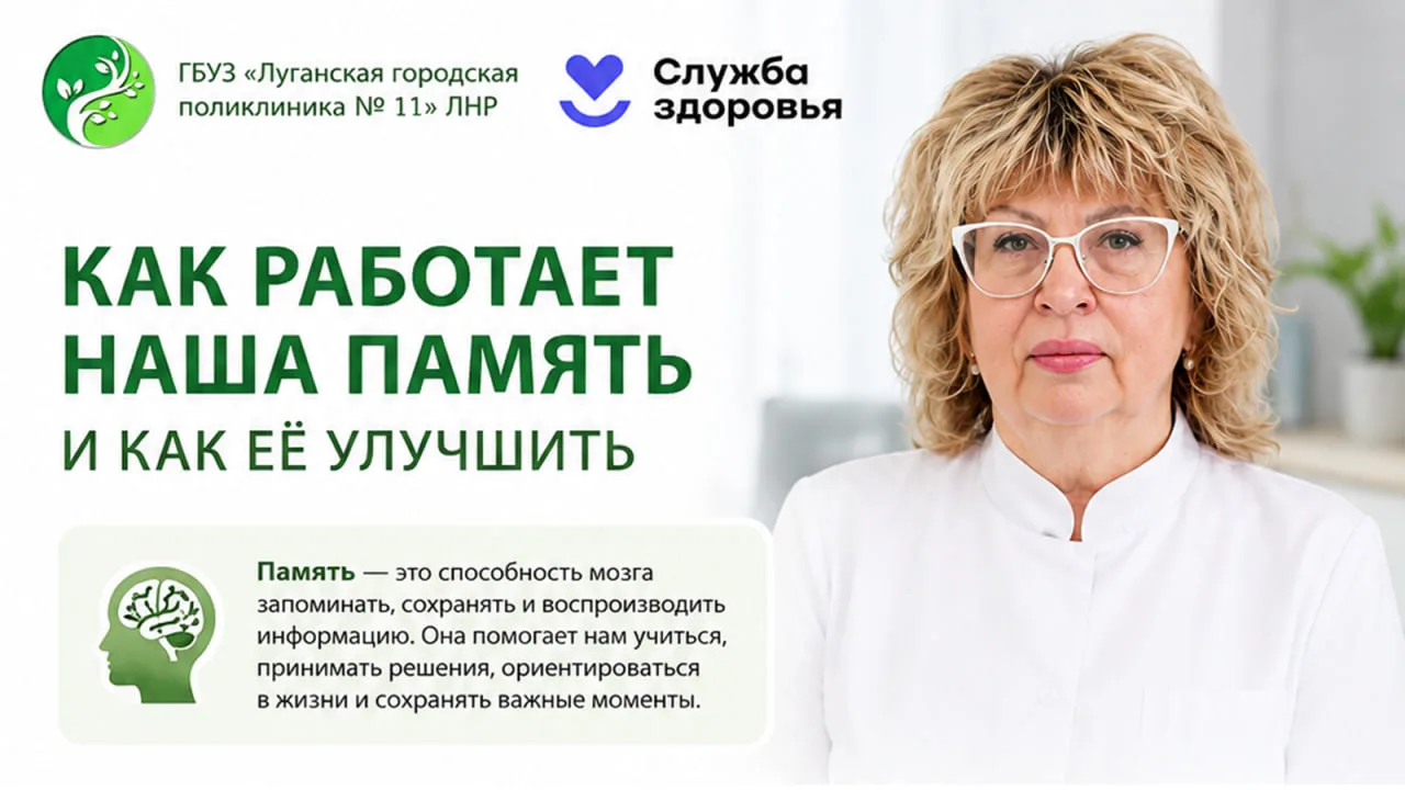 🧠 Память — это работа мозга, которую можно настроить!