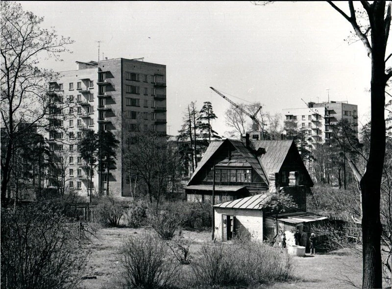🏡 Деревянный «частный сектор» среди выросших девятиэтажек. Улица Рашетова, Ленинград, 1966 год.

Эт