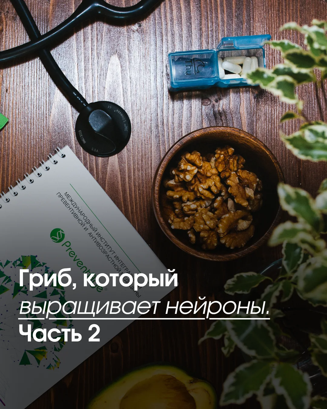 Защита мозга при когнитивном снижении

В двойном слепом плацебо-контролируемом пилотном исследовании