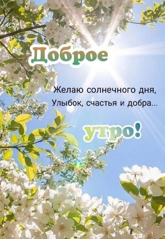 🌿🌿🌿🌿🌿🌿🌿🌿🌿🌿   С началом нового дня, с добрым утром! Пускай этот день принесет только радость, позитив
