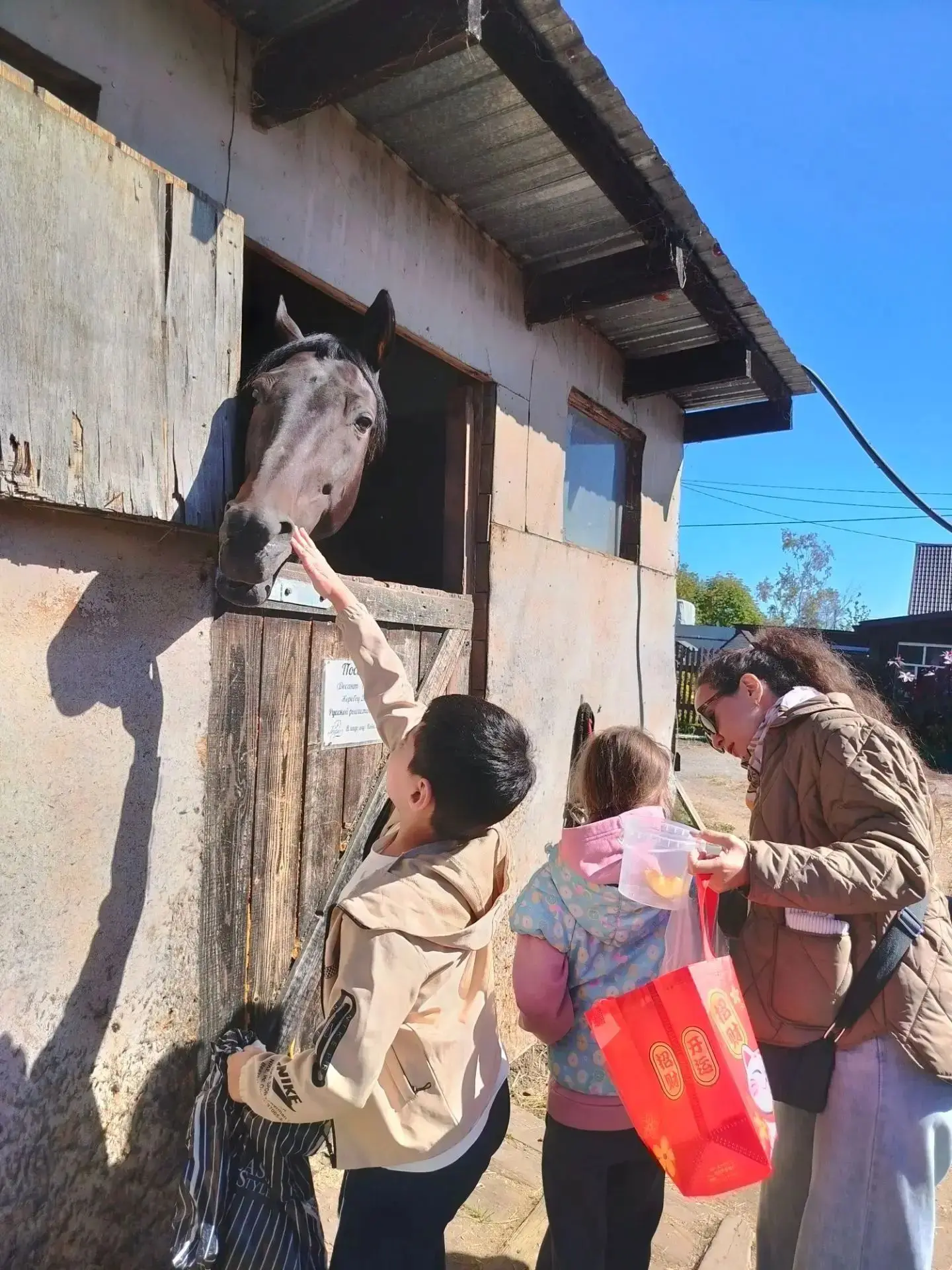 Сегодня 1б класс посетил конный клуб🐎🐎🐎, и этот день оказался полным удивительных вп...