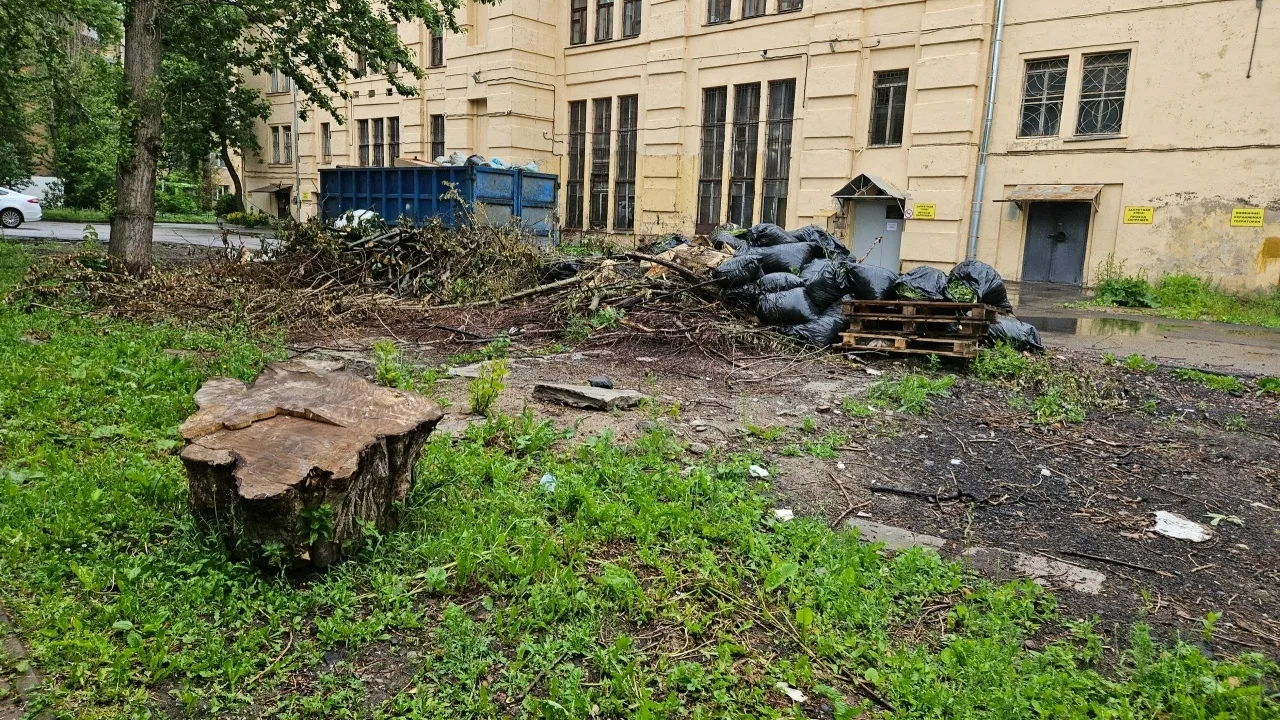 😔 Год спустя свалка у дома №40 по улице Ткачей всё ещё напоминает о себе
