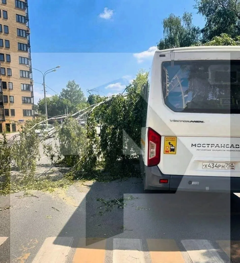 🪵 В Щелково дерево упало на автобус

Никто из пассажиров не пострадал

Подписаться на @shelkovo_onl