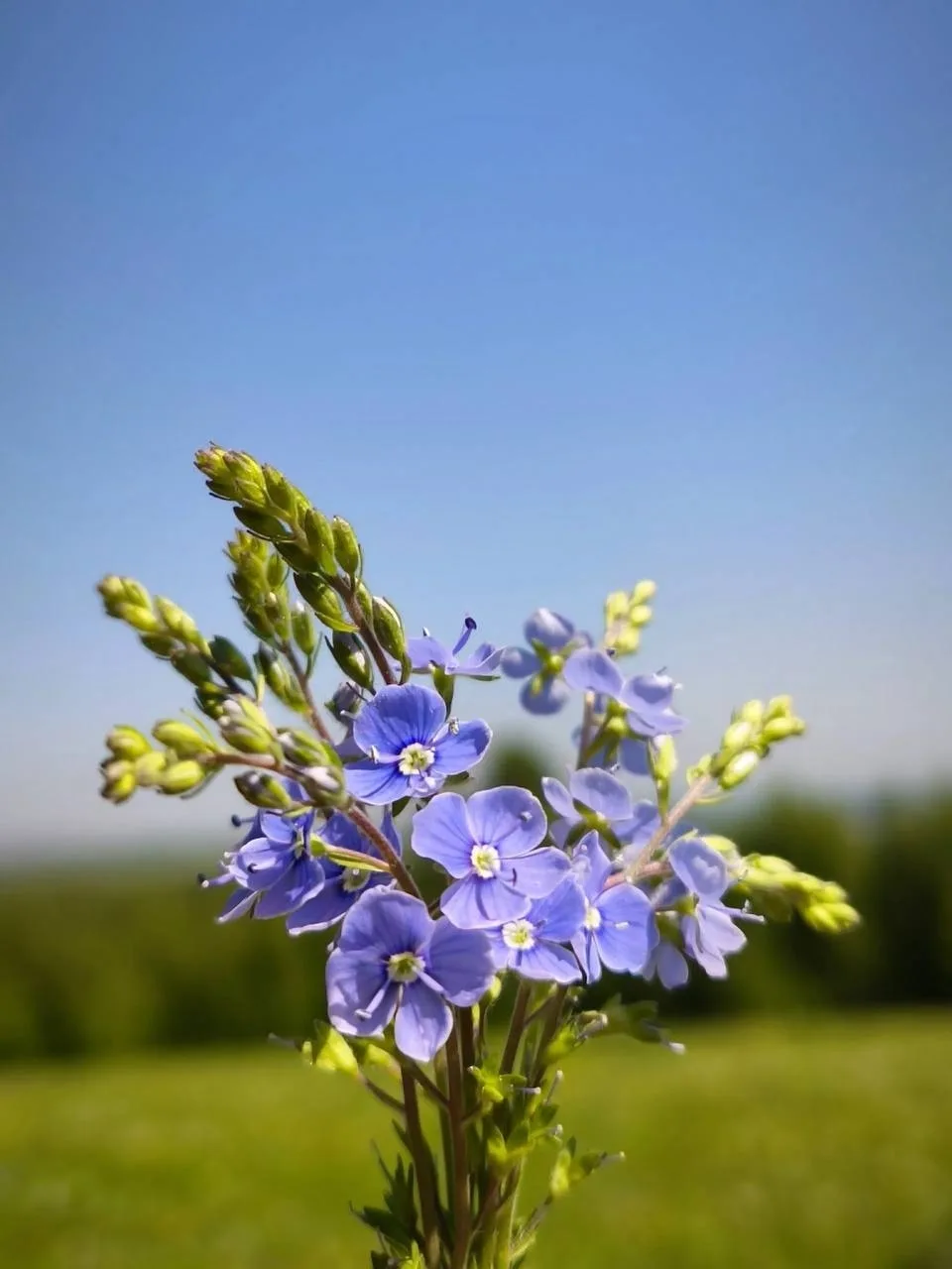 Летние краски Кузбасса😍

Повсюду красота, жара и долгожданное летоооо☀

❤ - сказка 

Фото: Юлия Сот