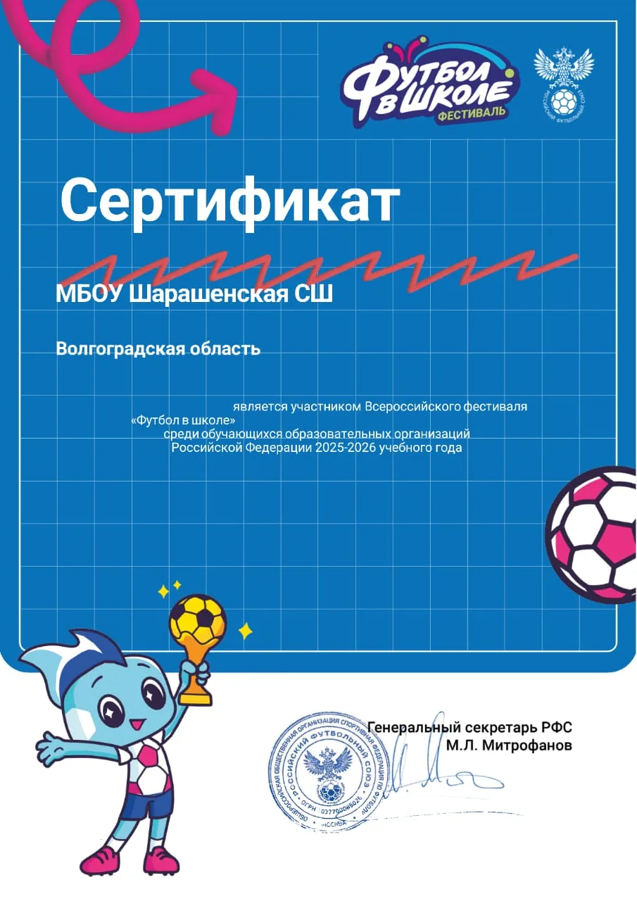 🇷🇺⚽ВСЕРОССИЙСКИЙ ФЕСТИВАЛЬ "ФУТБОЛ В ШКОЛЕ"⚽🇷🇺