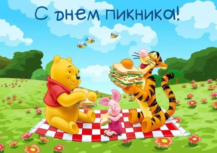 ДЕНЬ ПИКНИКА🌳🌺🌲🌼🌞