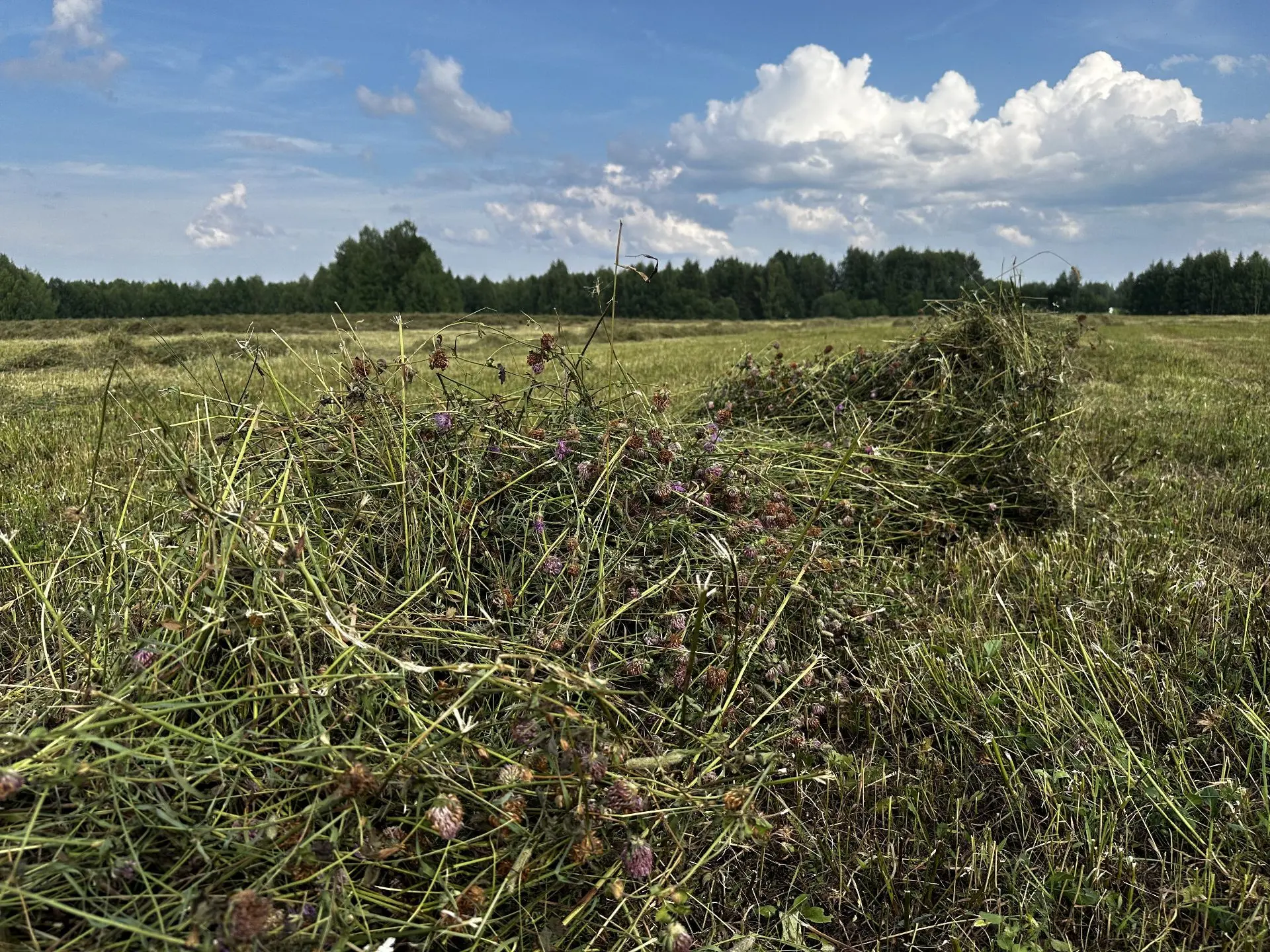Продовольственная безопасность начинается с сильных хозяйств: Сергей Елдин посетил одно из флагманск