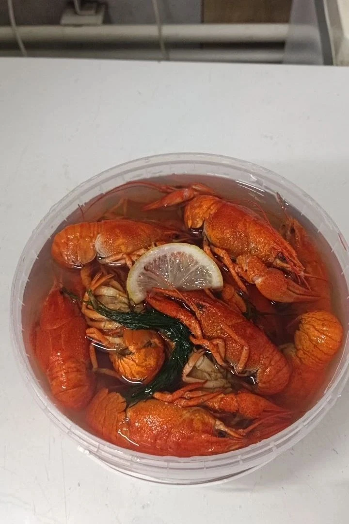СРОЧНО В ЭФИР: ПАРТИЯ ПИВНЫХ РАКОВ ВОРВАЛАСЬ В ГОРОД! 🦞🔥