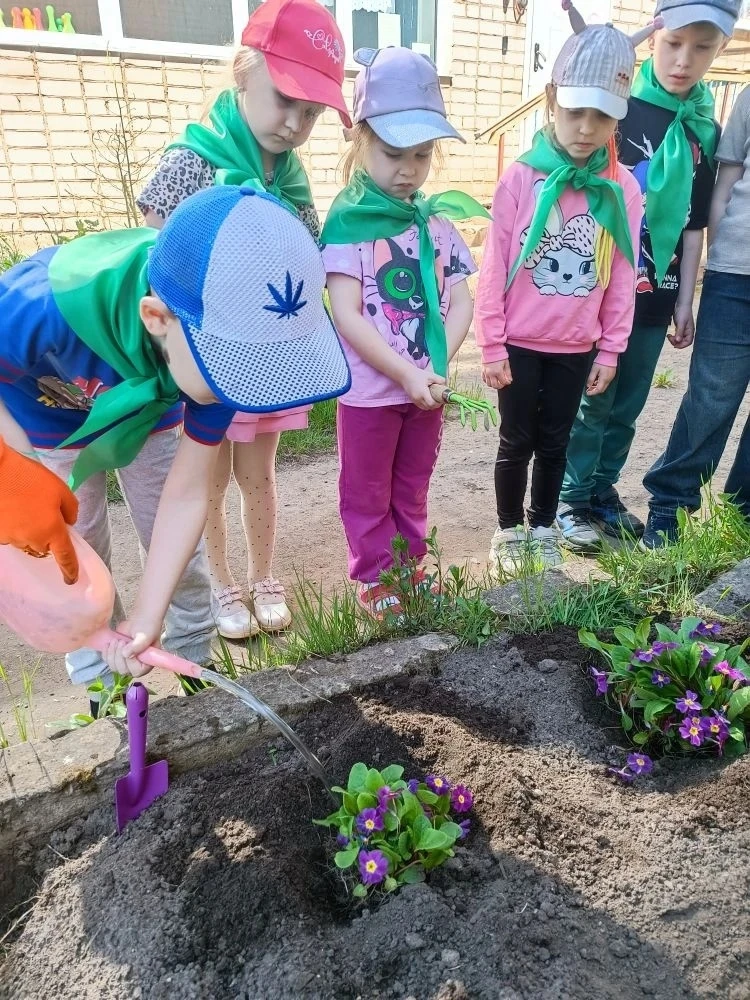 В дошкольном подразделении N 3 🌿  Эколята- дошколята группы " Звёздочки" любители прир...