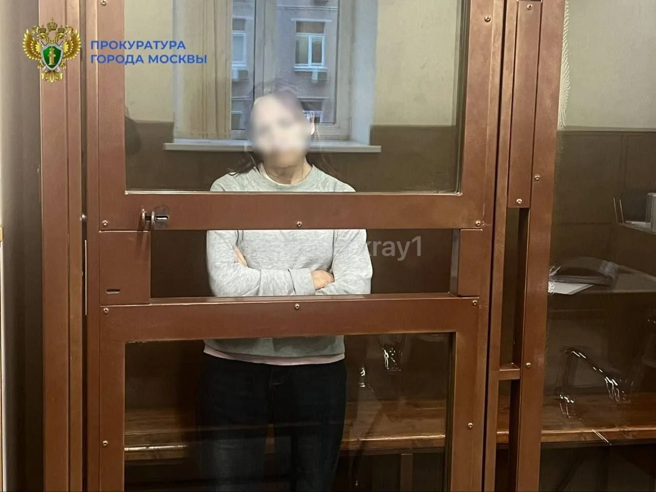 ⚡️Краснодарку, столкнувшую девочку на рельсы метро в Москве, отправят на принудительное лечение.  На