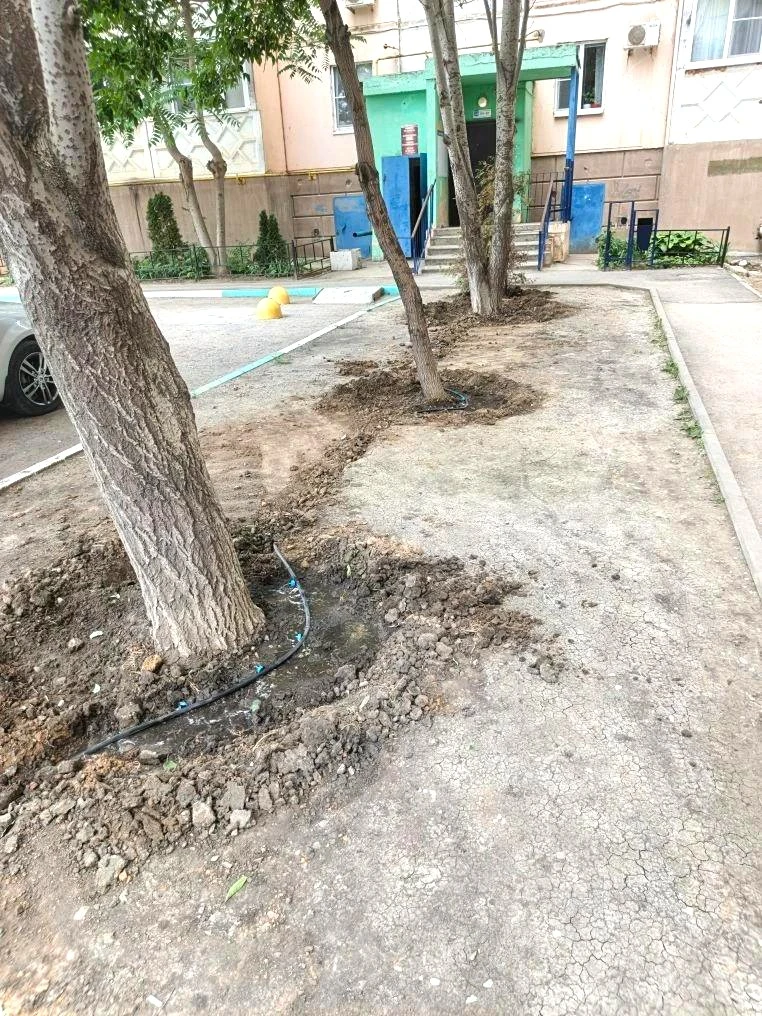 К новости «🌳 Сохраняем красоту и свежесть зеленых насаждений!»