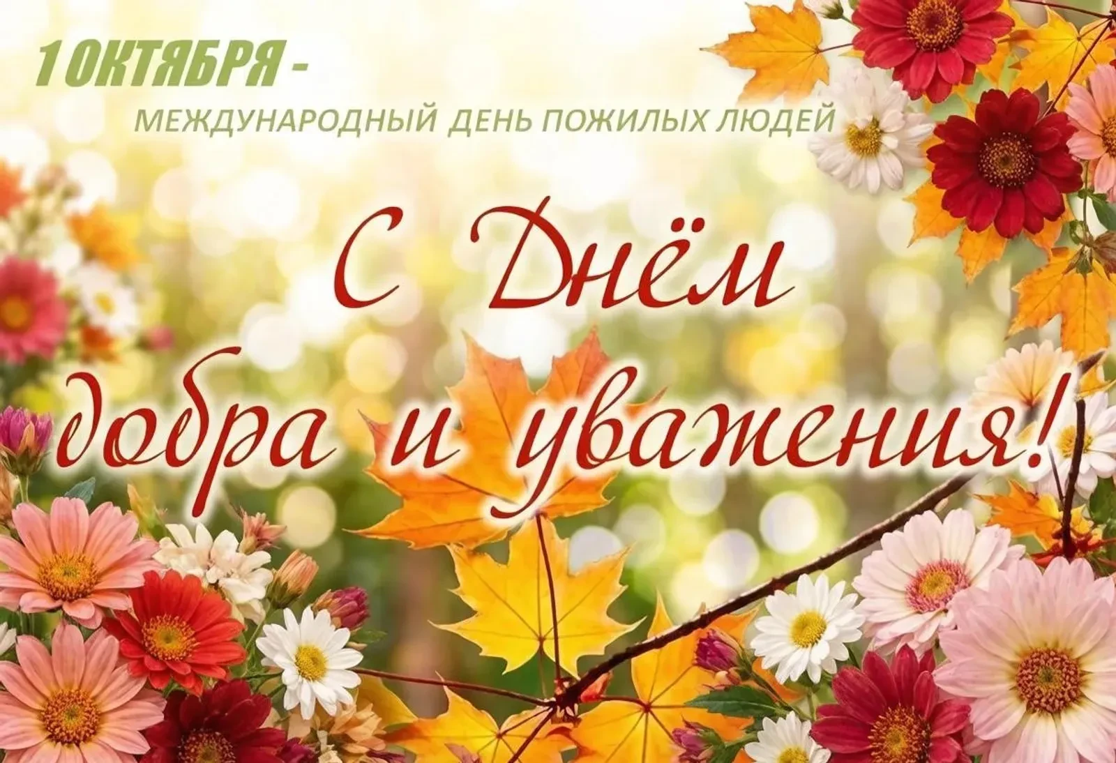 💐Бәйрәм котлавы💐