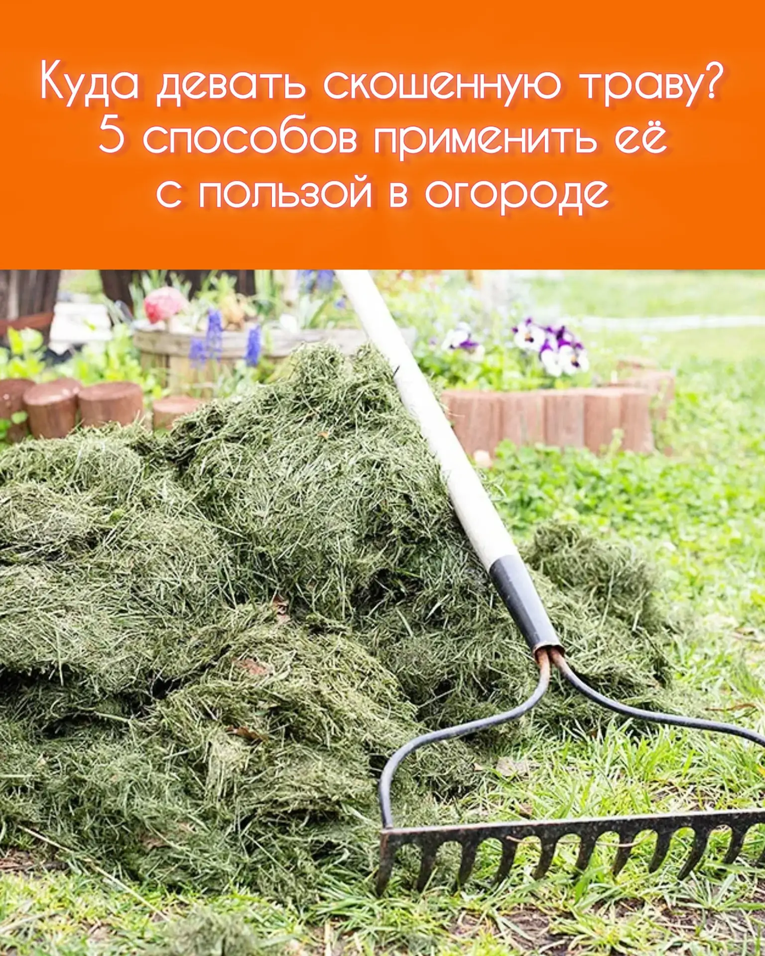 🌿 Куда девать скошенную траву? 5 способов применить её с пользой в огороде