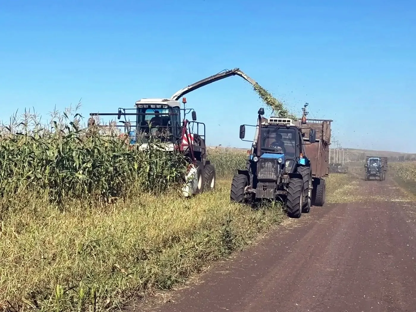 В Куюргазинском районе Башкирии началась уборка кукурузы.