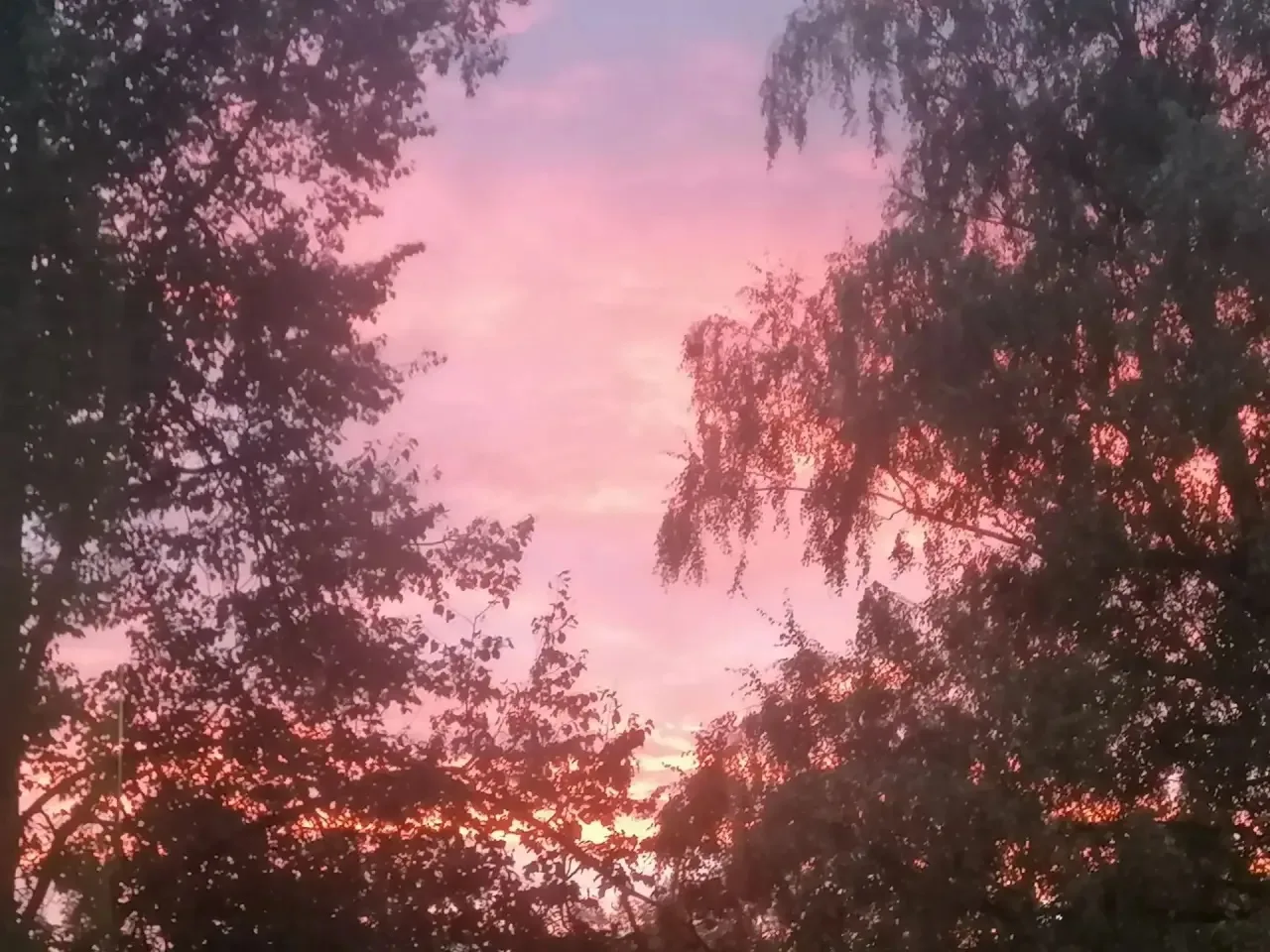 🌅 Жители Пушкино продолжают делиться кадрами сегодняшнего потрясающего заката