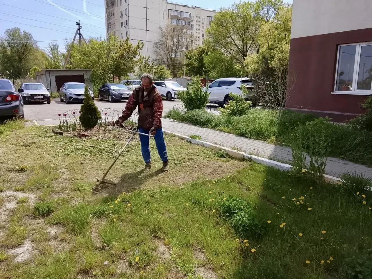 К новости «🌾 Летний сезон: трава под контролем!»