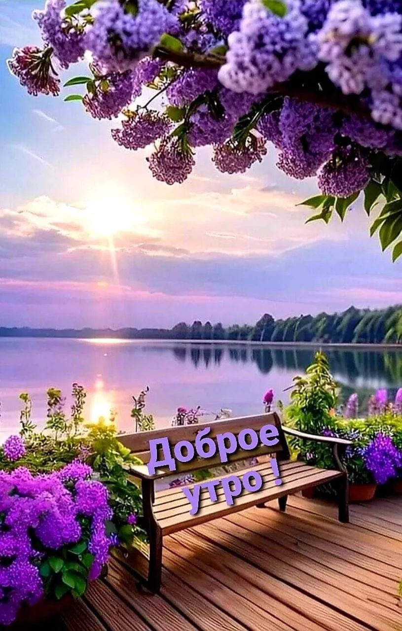 Галерея Открыток