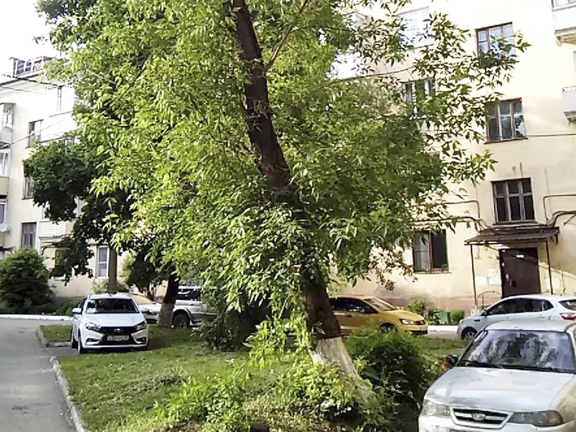 В муниципальных районах Калужской области филиал Рослесозащиты проводит систематические обследования