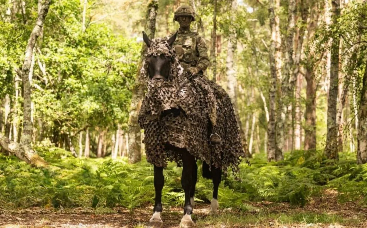 🐎 Армия Великобритании тестирует лошадей для разведки и скрытного передвижения
