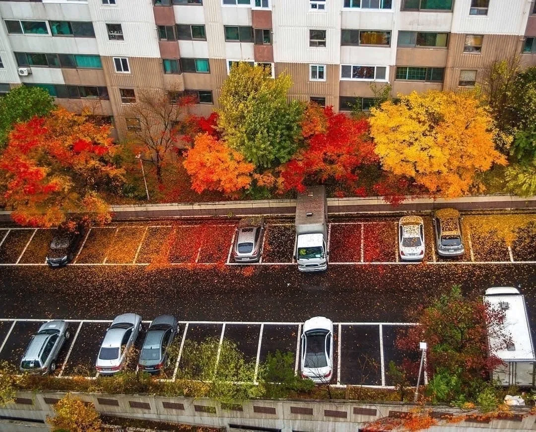 Осенний Новосибирск