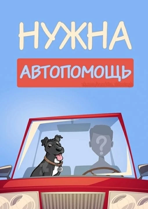 На завтра (4 сентября) приюту «Помоги другу» очень нужна помощь машиной, нужно отвезти ...