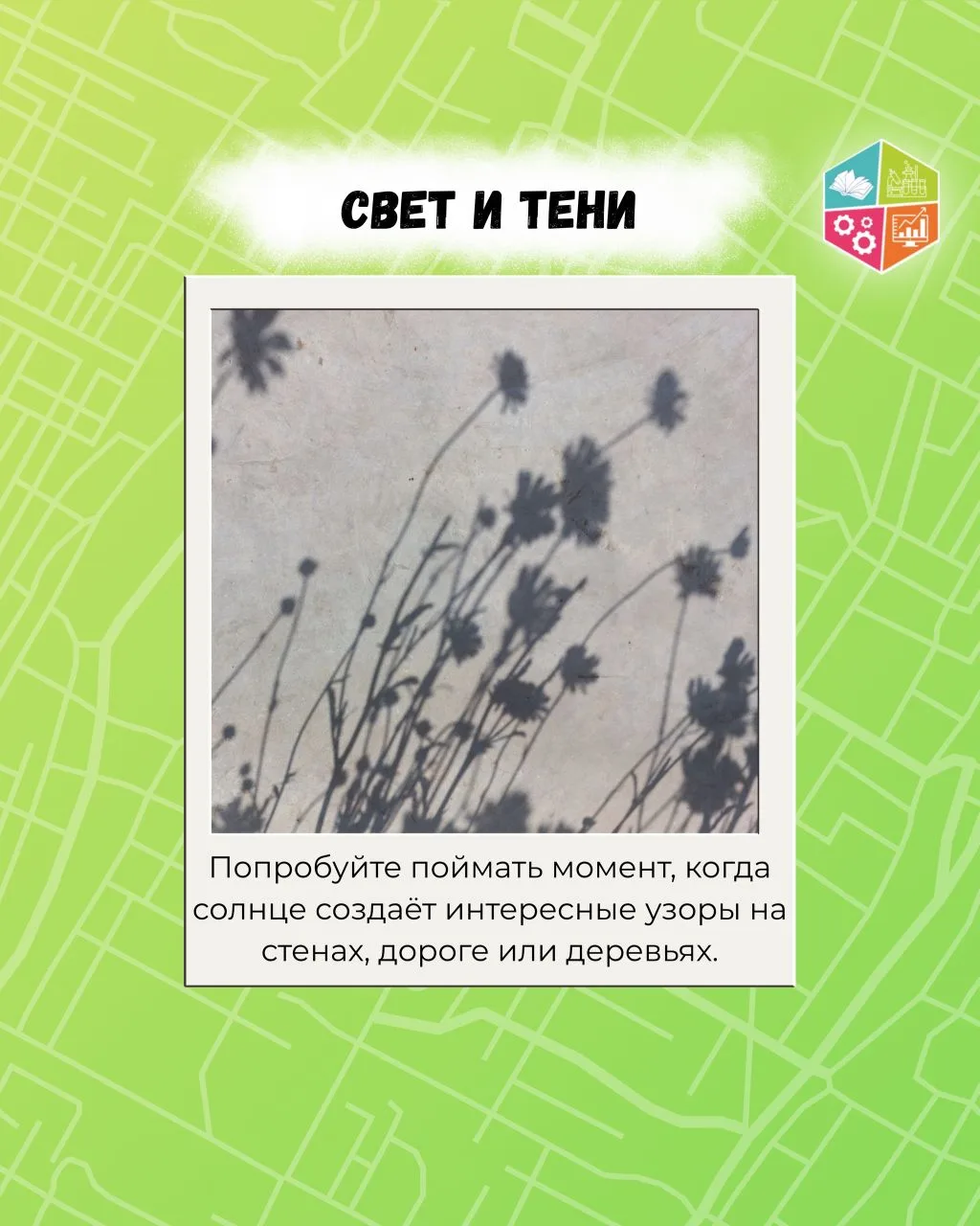 📍Летний гид от Управляющего совета

📸В новом выпуске собрали идеи для небольшого фотомаршрута, кот
